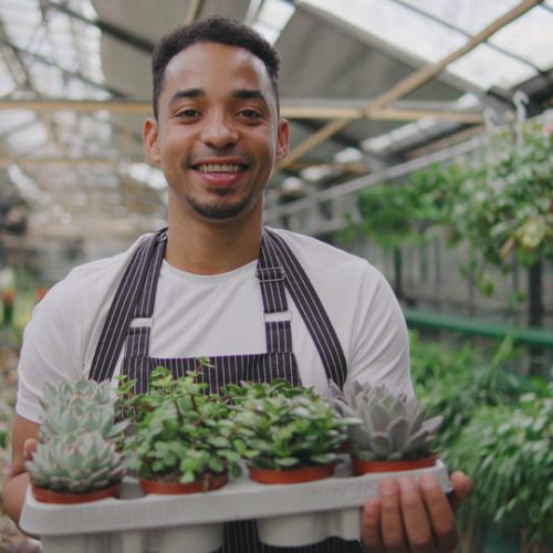 male-worker-in-a-greenhouse-portrait-of-a-man-holding-a-pot-of-beautiful-green-plants - SBI-350030230