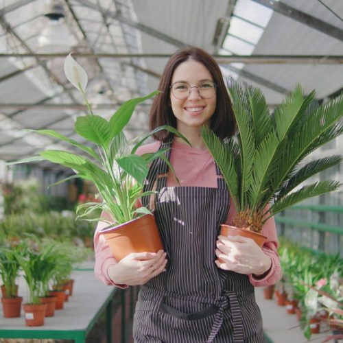 portrait-of-a-female-greenhouse-worker-female-worker-walks-through-the-greenhouse-and - SBI-349480401