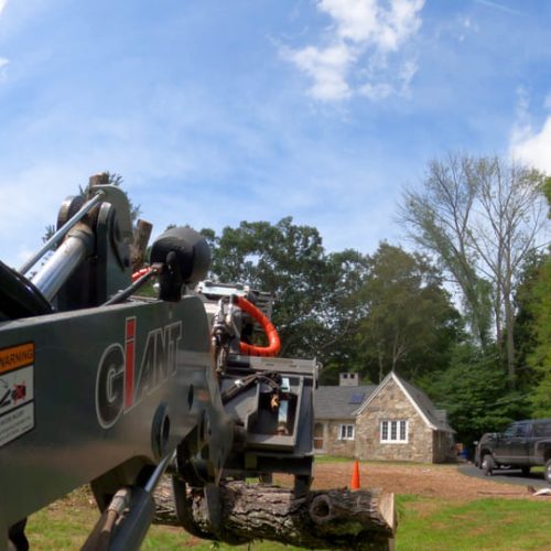 pov-view-of-heavy-equipment-landscaping-loader-machine-carrying-logs-SBI-351105668